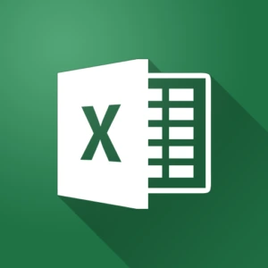 MS Excel Level 1